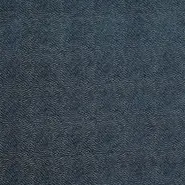 Capella (J785F-03)
